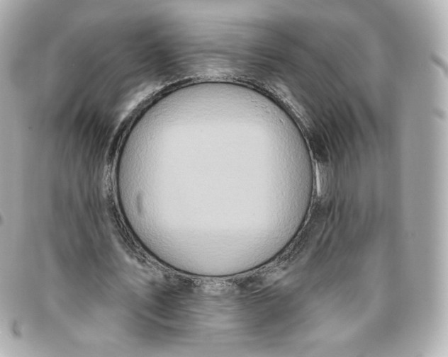 X0000095880579200802011046