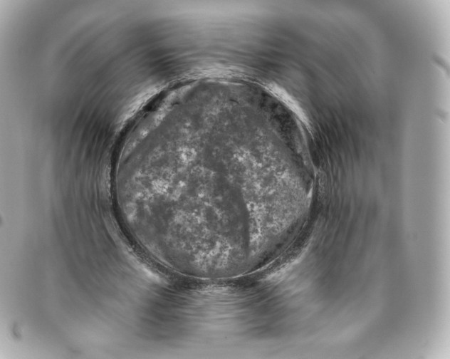 X0000095880581200802011046