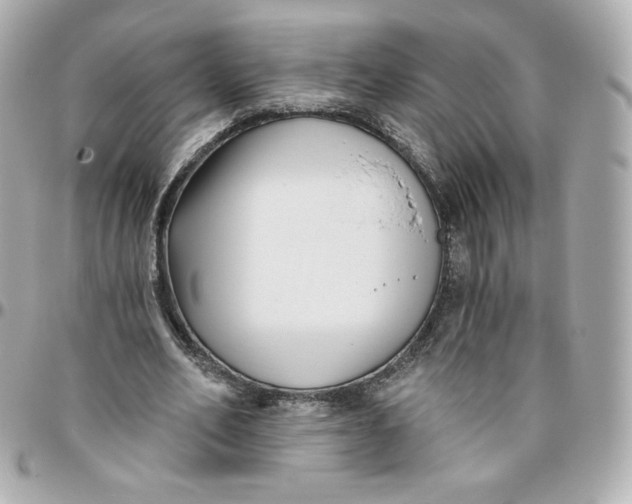 X0000095880582200802011046