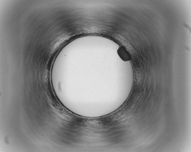 X0000095880583200802011046