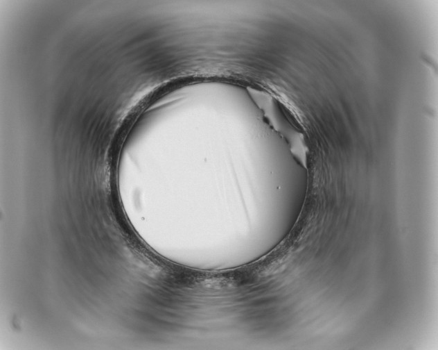 X0000095880584200802011046