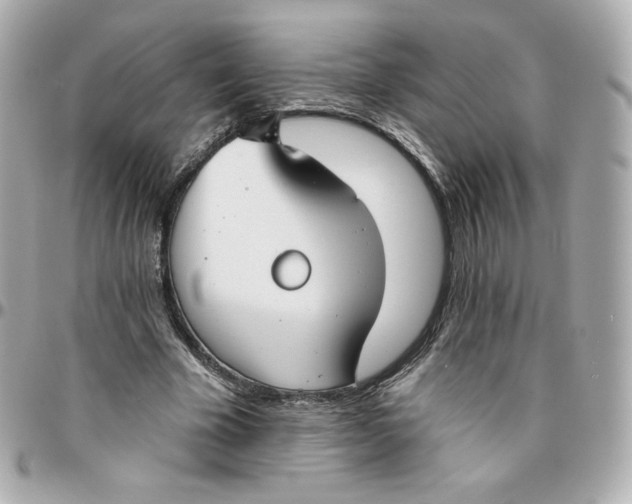 X0000095880585200802011046