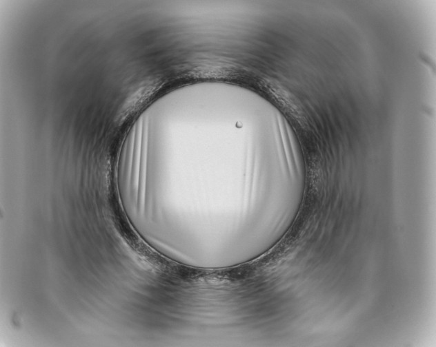 X0000095880586200802011046