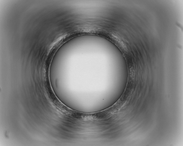 X0000095880587200802011046