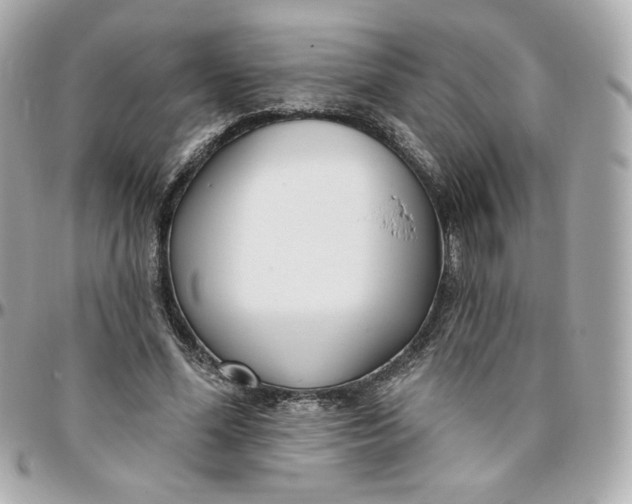 X0000095880588200802011046