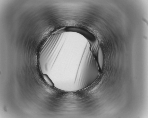 X0000095880589200802011046