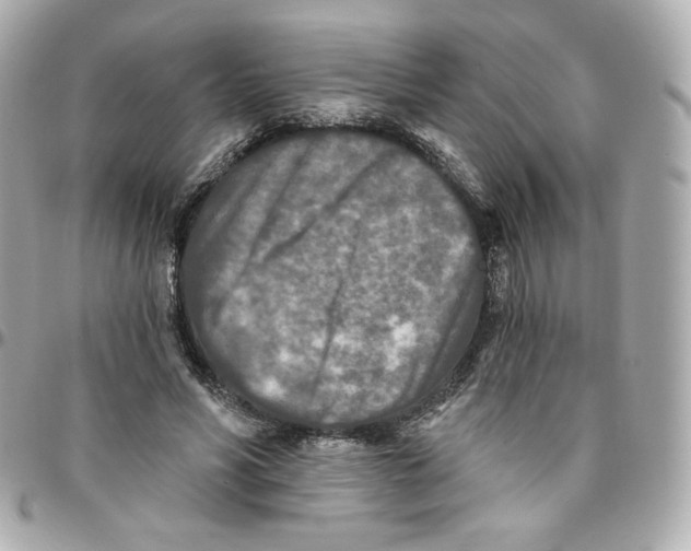 X0000095880590200802011046