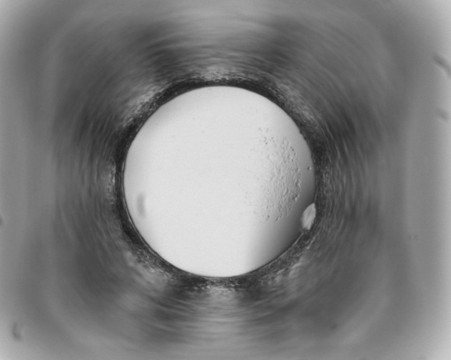 X0000095880592200802011046