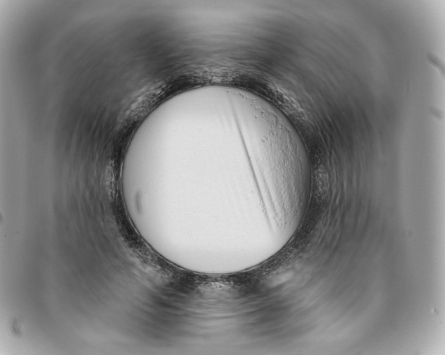 X0000095880594200802011046