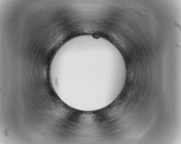 X0000095880595200802011046