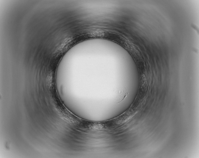 X0000095880600200802011046