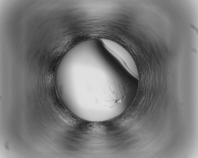 X0000095880601200802011046