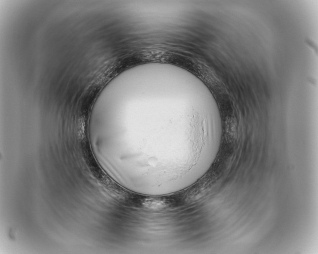 X0000095880602200802011046