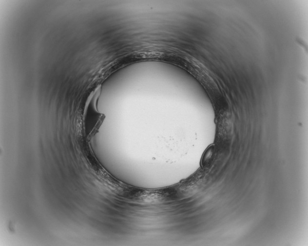 X0000095880604200802011046