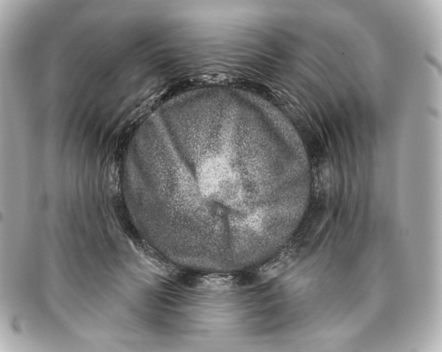 X0000095880606200802011045