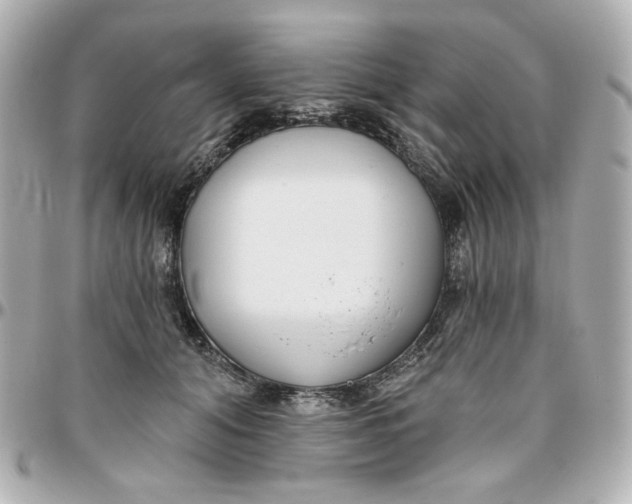 X0000095880608200802011045