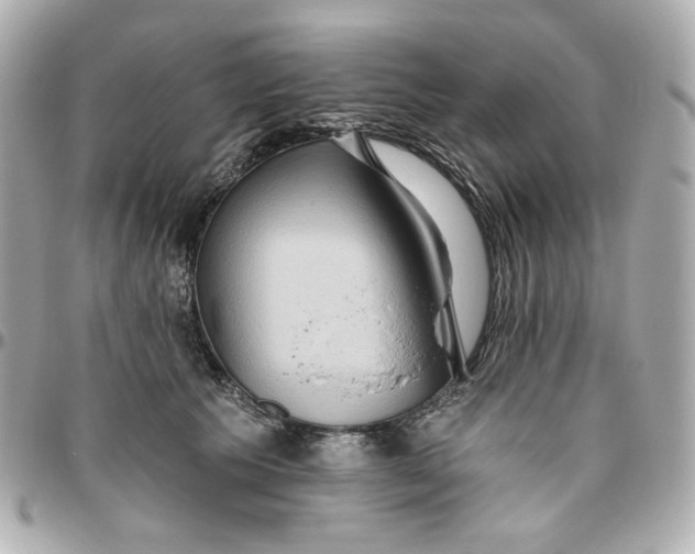 X0000095880609200802011045