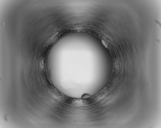 X0000095880611200802011045