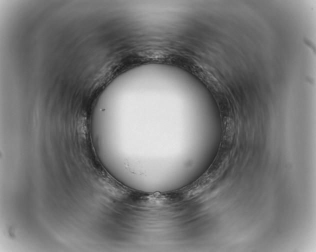 X0000095880612200802011045