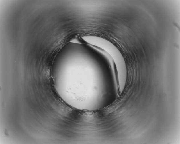 X0000095880613200802011045