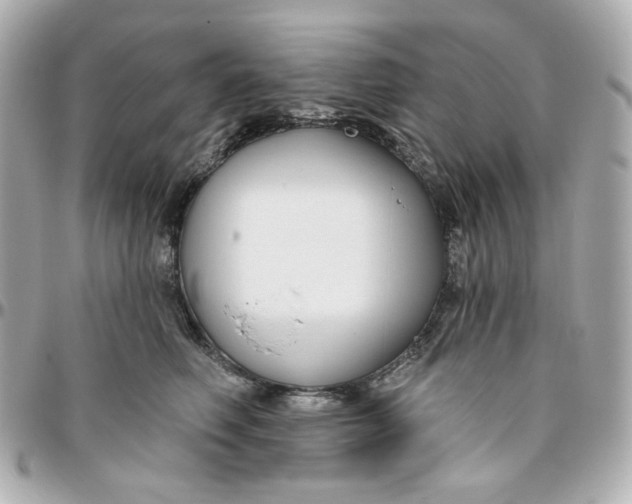 X0000095880614200802011045