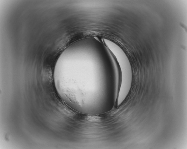 X0000095880617200802011045