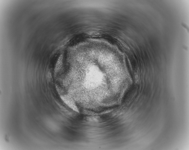 X0000095880618200802011045