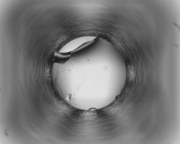 X0000095880619200802011045