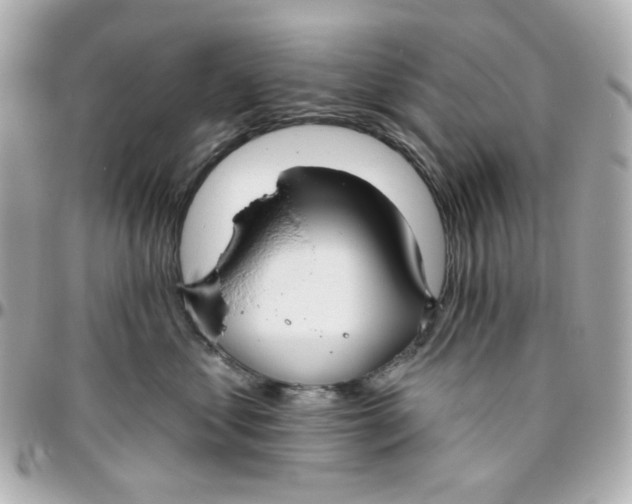 X0000095880621200802011045