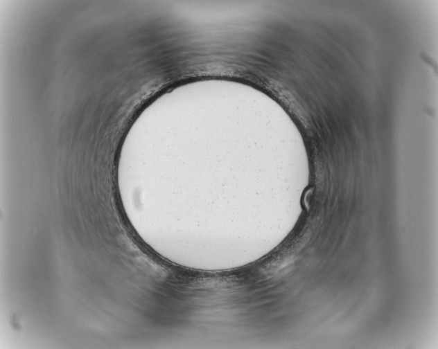 X0000095880625200802011045