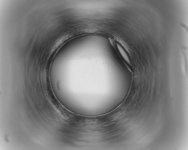 X0000095880626200802011045