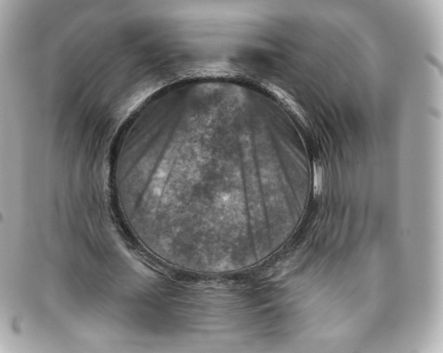 X0000095880627200802011045