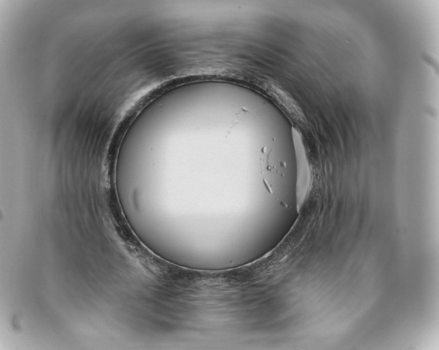 X0000095880628200802011045