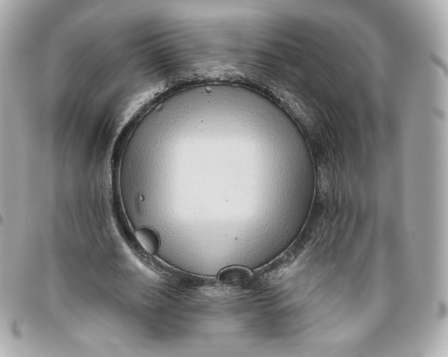 X0000095880630200802011045