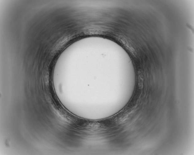 X0000095880631200802011045