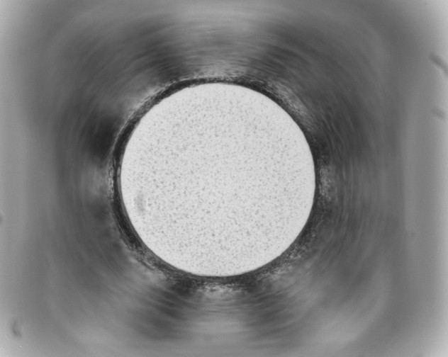 X0000095880632200802011045