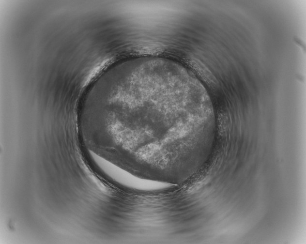 X0000095880634200802011045