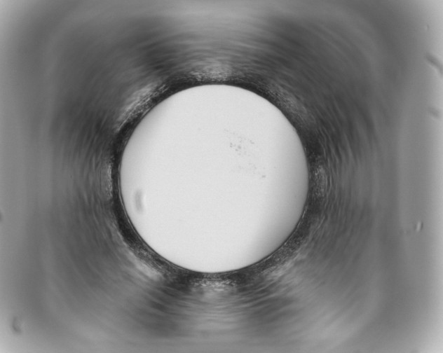 X0000095880638200802011045