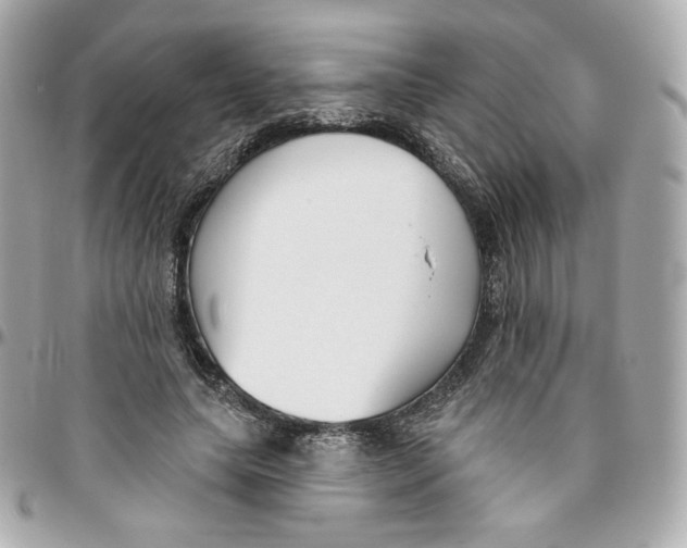 X0000095880639200802011045