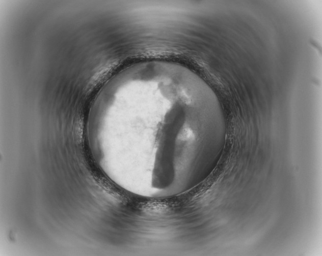 X0000095880640200802011045