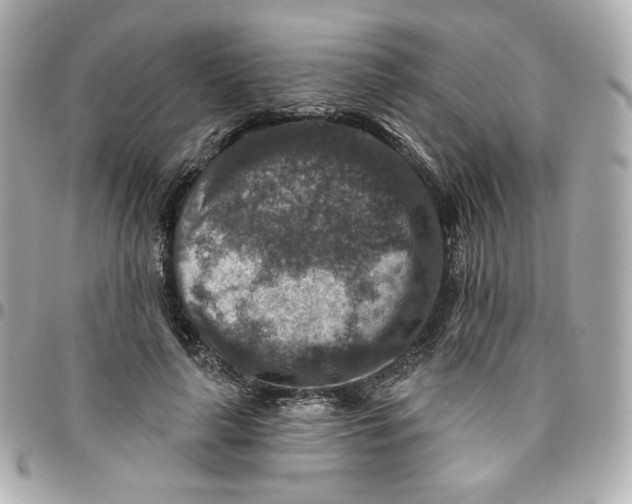 X0000095880643200802011045