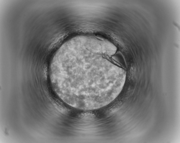 X0000095880644200802011045