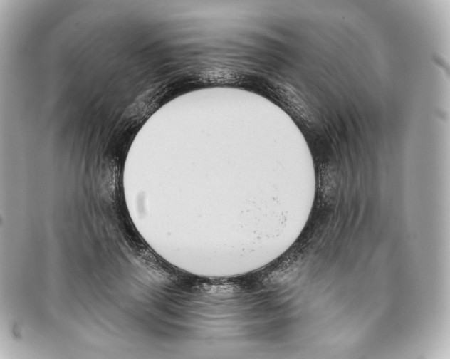 X0000095880645200802011045