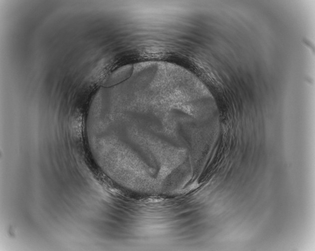 X0000095880647200802011045