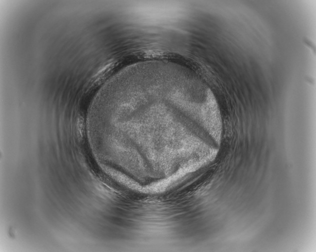 X0000095880648200802011045