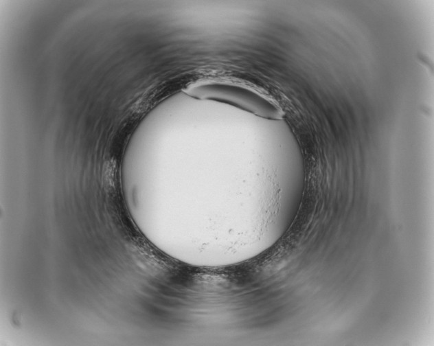 X0000095880649200802011045