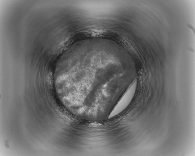 X0000095880650200802011045