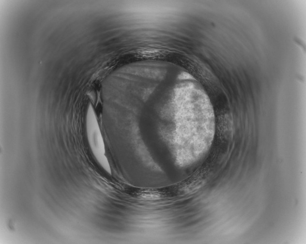 X0000095880653200802011045