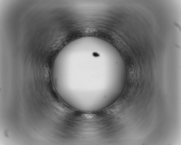 X0000095880654200802011045