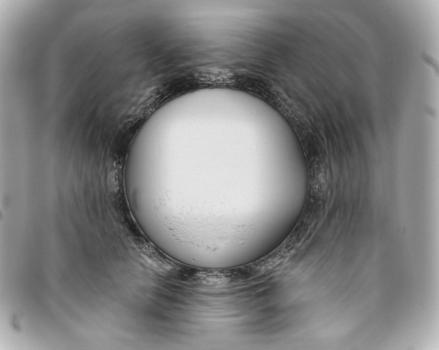 X0000095880658200802011045